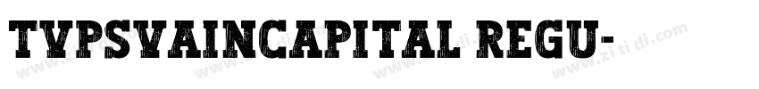 TVPSVainCapital regu字体转换